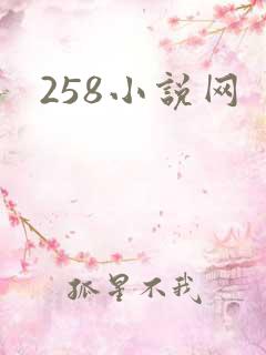 258小说网
