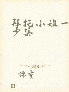 拜托小姐一共多少集