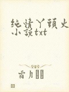 纯情丫头火辣辣小说txt