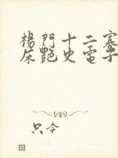 杨门十二寡妇肉床艳史电子书