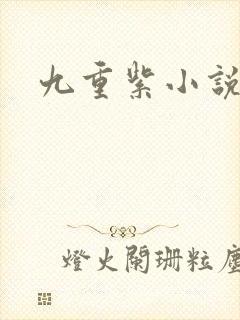 九重紫小说