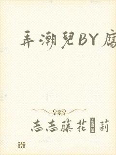 弄潮儿BY腐竹