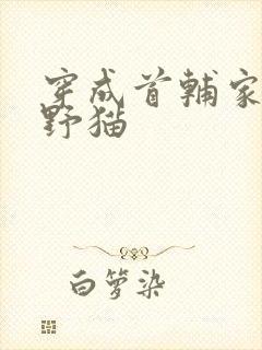 穿成首辅家的小野猫