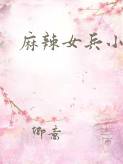 麻辣女兵小说版