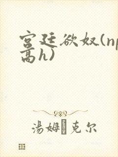 宫廷欲奴(np高h)