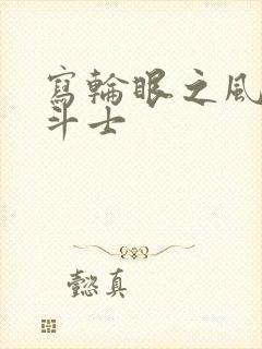 写轮眼之风流圣斗士