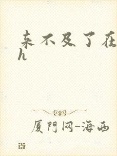 来不及了在车ch