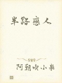 半路恋人