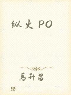 纵火 PO