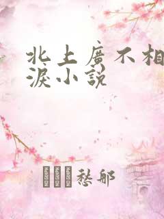 北上广不相信眼泪小说