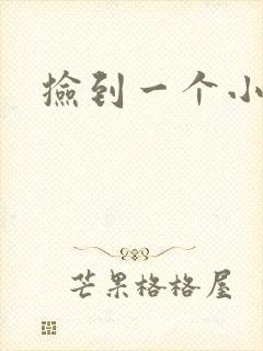 捡到一个小妖精