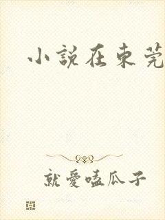 小说在东莞