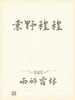 袁野程程