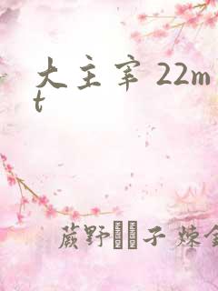 大主宰 22mt