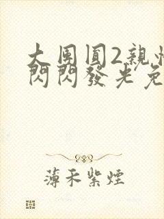 大团圆2亲情会闪闪发光免费