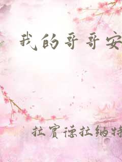 我的哥哥安小天