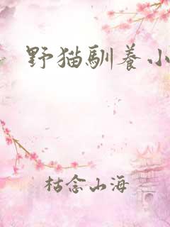 野猫驯养小说