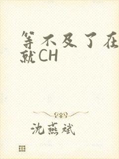 等不及了在车里就CH