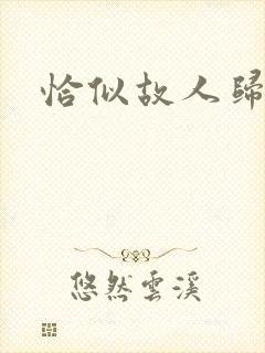 恰似故人归小说