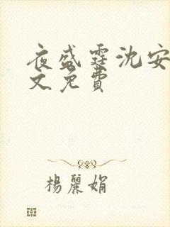 夜盛霆沈安然全文免费