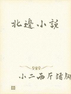 北边小说