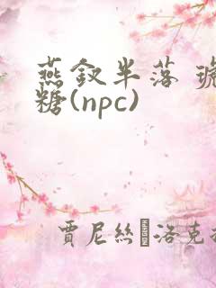 燕钗半落 琥珀糖(npc)