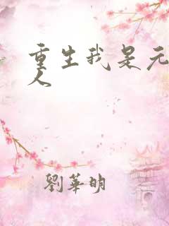 重生我是元帅夫人