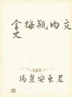 金梅瓶肉交白话文