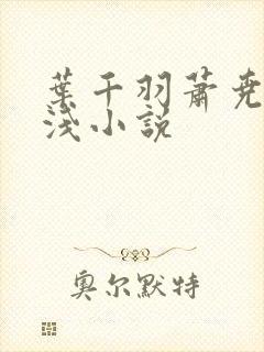 叶千羽萧尧白清浅小说