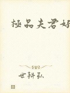 极品夫君好又多