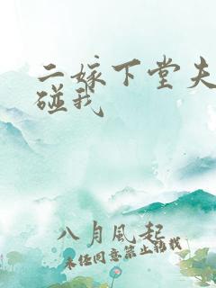 二嫁下堂夫君别碰我