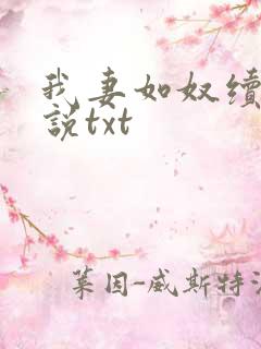 我妻如奴续写小说txt