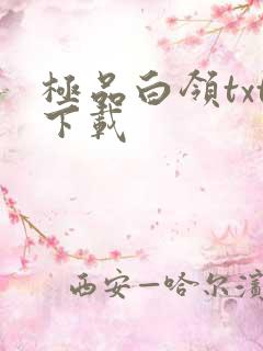 极品白领txt下载