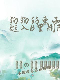 狗狗的东西直接进入B里删除