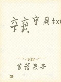 六六宝贝txt下载