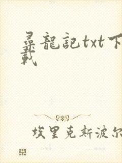 寻龙记txt下载