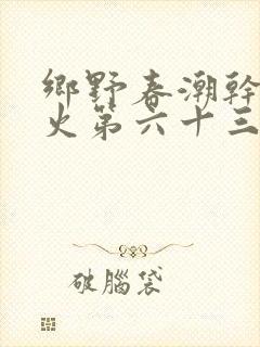 乡野春潮干柴烈火第六十三章