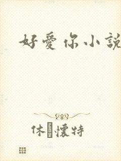好爱你小说