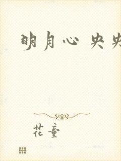 明月心 央央
