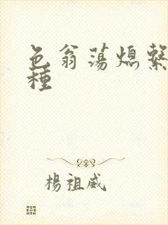 色翁荡熄系列借种