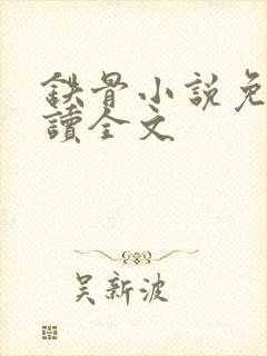 铁骨小说免费阅读全文