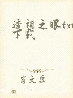 透视之眼txt下载