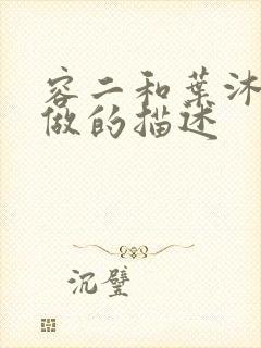 容二和叶沐走着做的描述