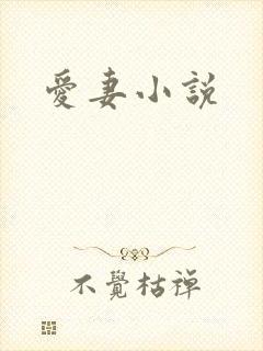 爱妻小说