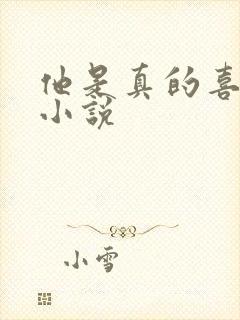 他是真的喜欢你小说