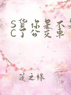 S货你是不是欠C了公交车