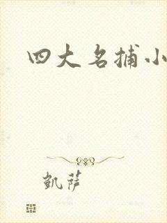 四大名捕小说