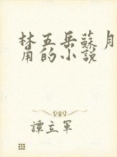 林五岳苏月灵主角的小说