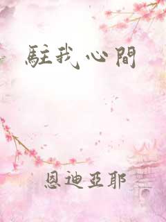驻我心间