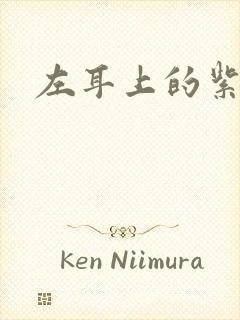 左耳上的紫水晶